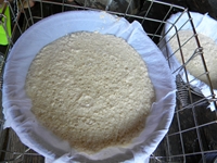 サマーキャンプ2010